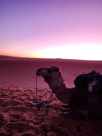 Fes Desert Trips-非斯必去景点