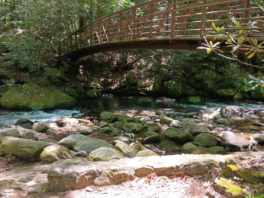 Jones Gap State Park-Marietta必去景点