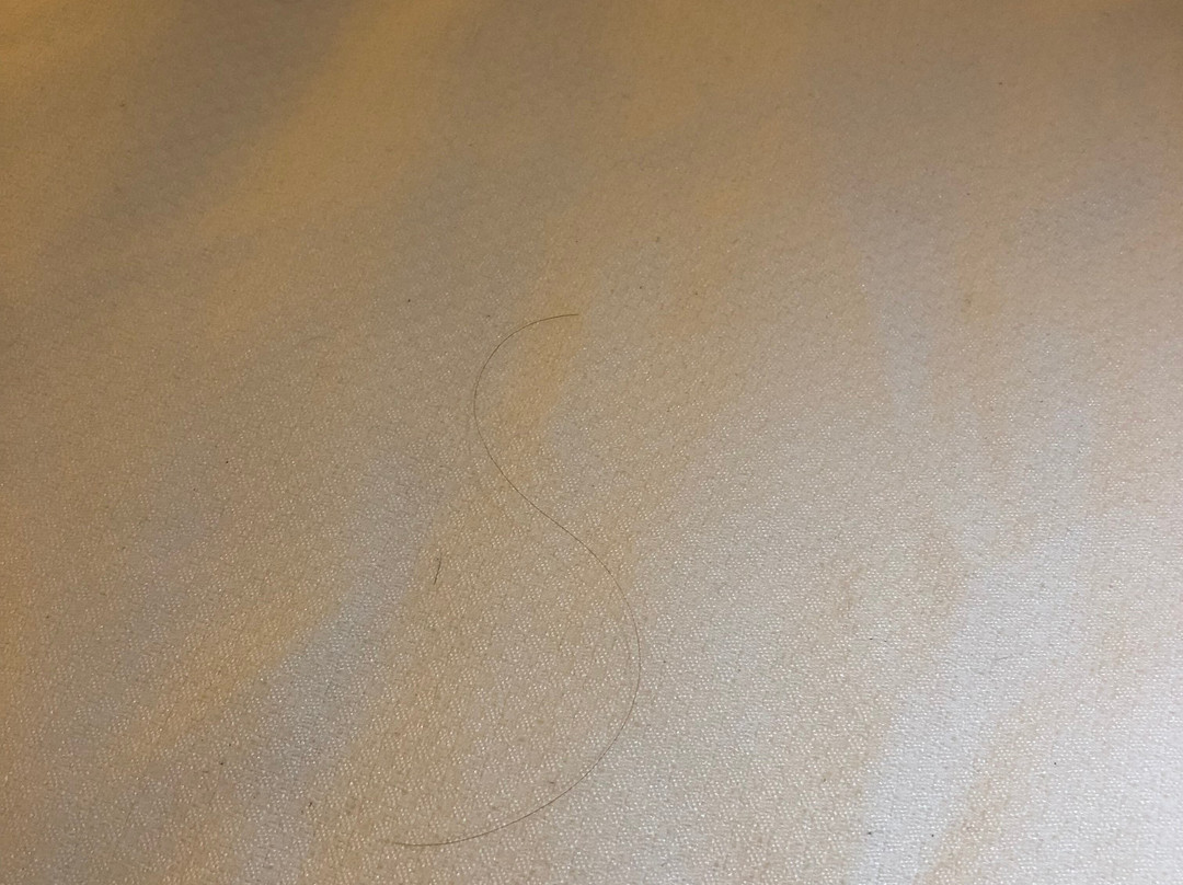 Comfort Inn Macon主图