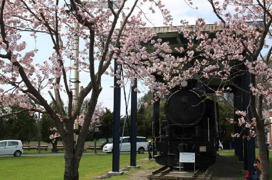Kuriyama Park-栗山町必去景点