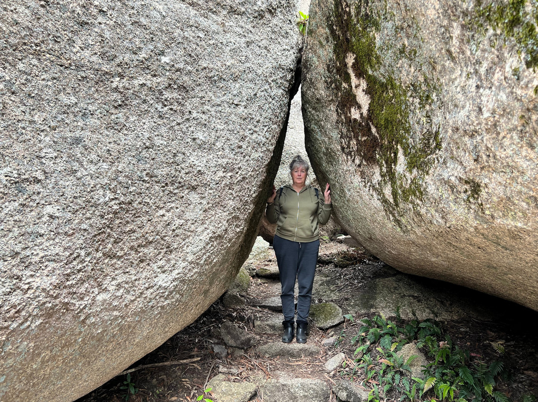 Bald Rock National Park景点图片