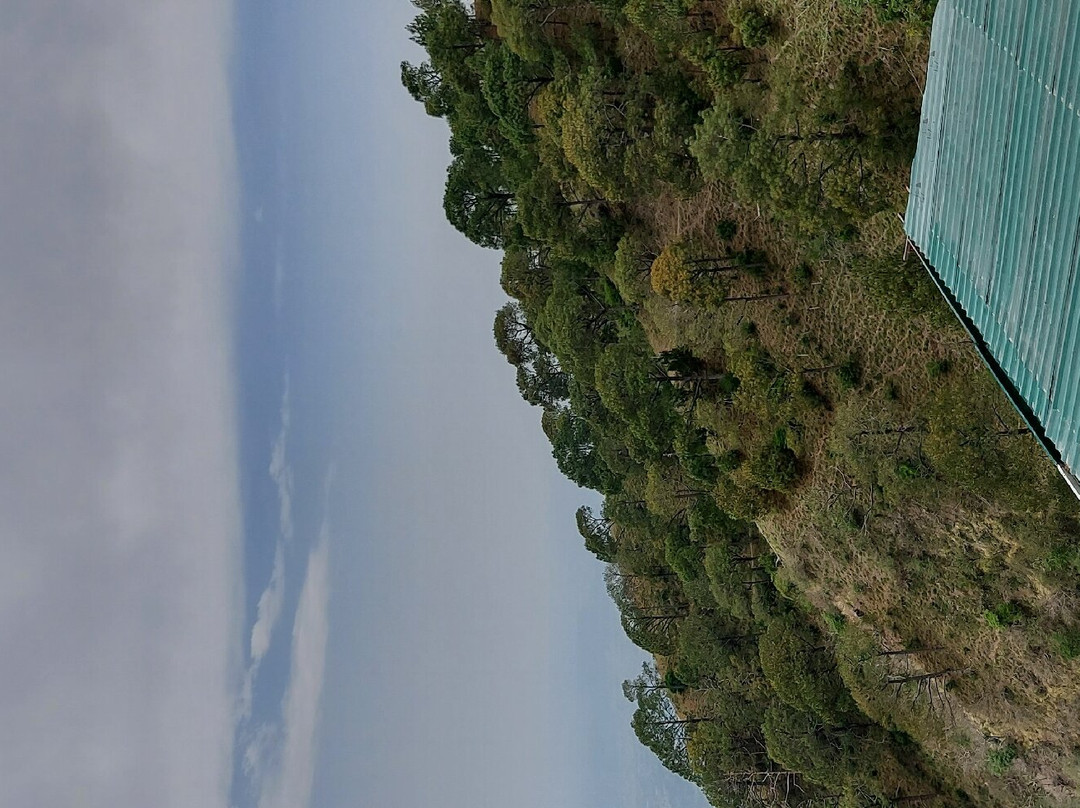 Birds View Kasauli主图