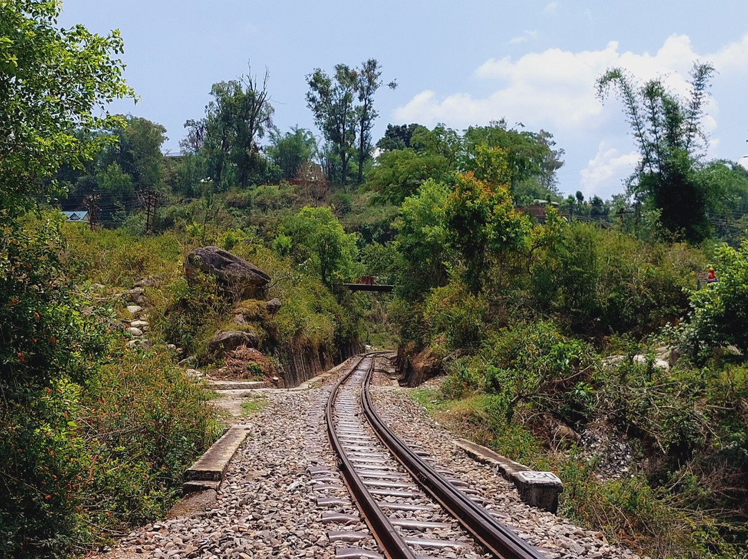 Neugal Riverfront Resort主图