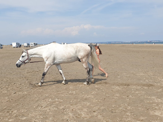 Beach Piemanson-Salin de Giraud必去景点