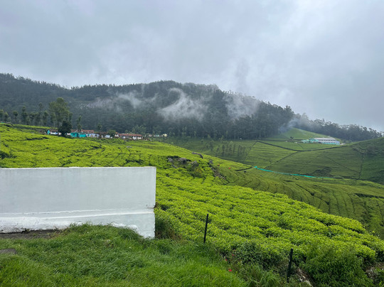 Lynfields Leisure主图