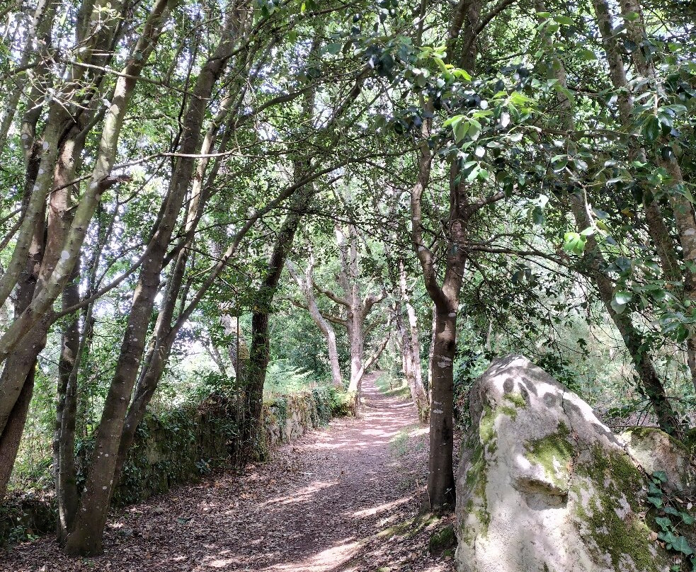 Sentier de la Vigie-La Trinite-sur-Mer必去景点