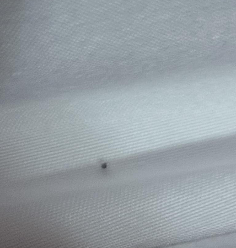 OYO Hotel Chehalis I-5 South主图