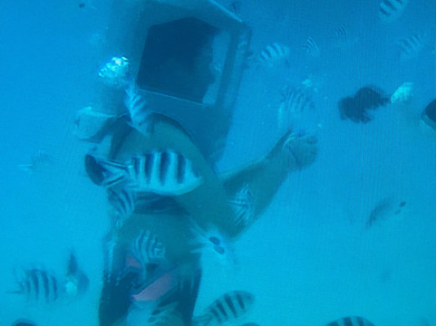 Solar Sea Walk (Undersea Walk Ltd)-大湾必去景点