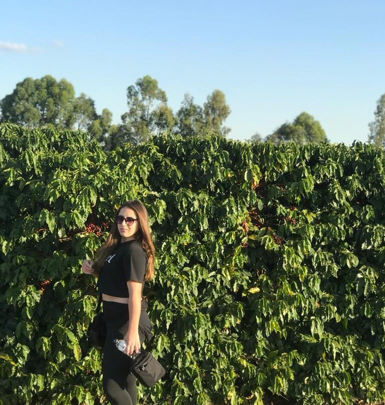 Fazenda São Bernardo-Patrocinio必去景点