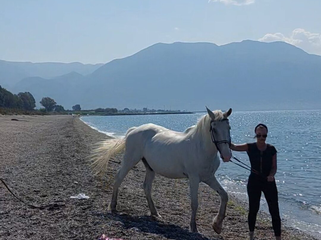 Ippikos Omilos Kalamatas-卡拉马塔必去景点