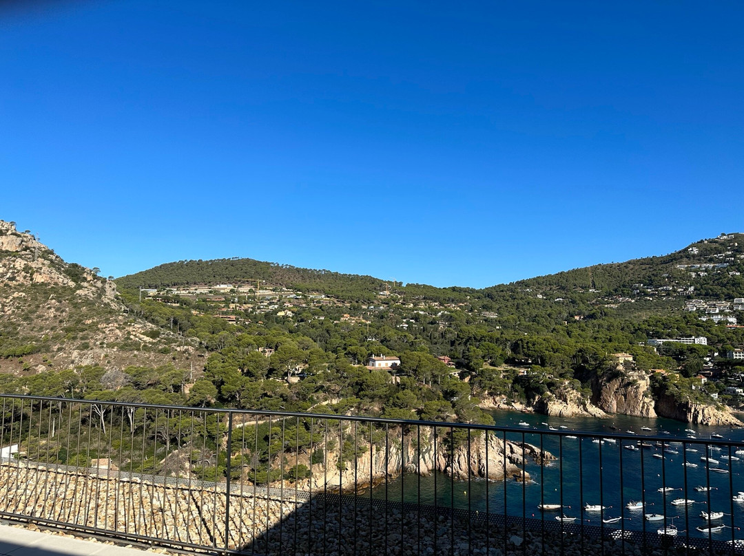 帕拉多尔爱库博拉瓦酒店主图