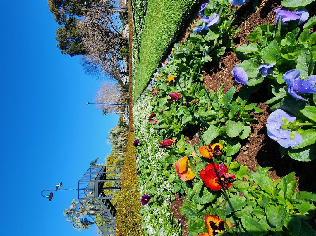 Northpoint Motel主图