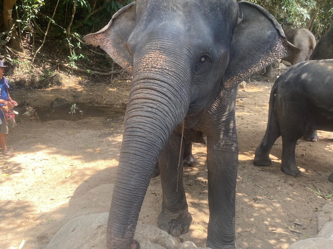 Thai Holiday Planner-苏梅岛必去景点