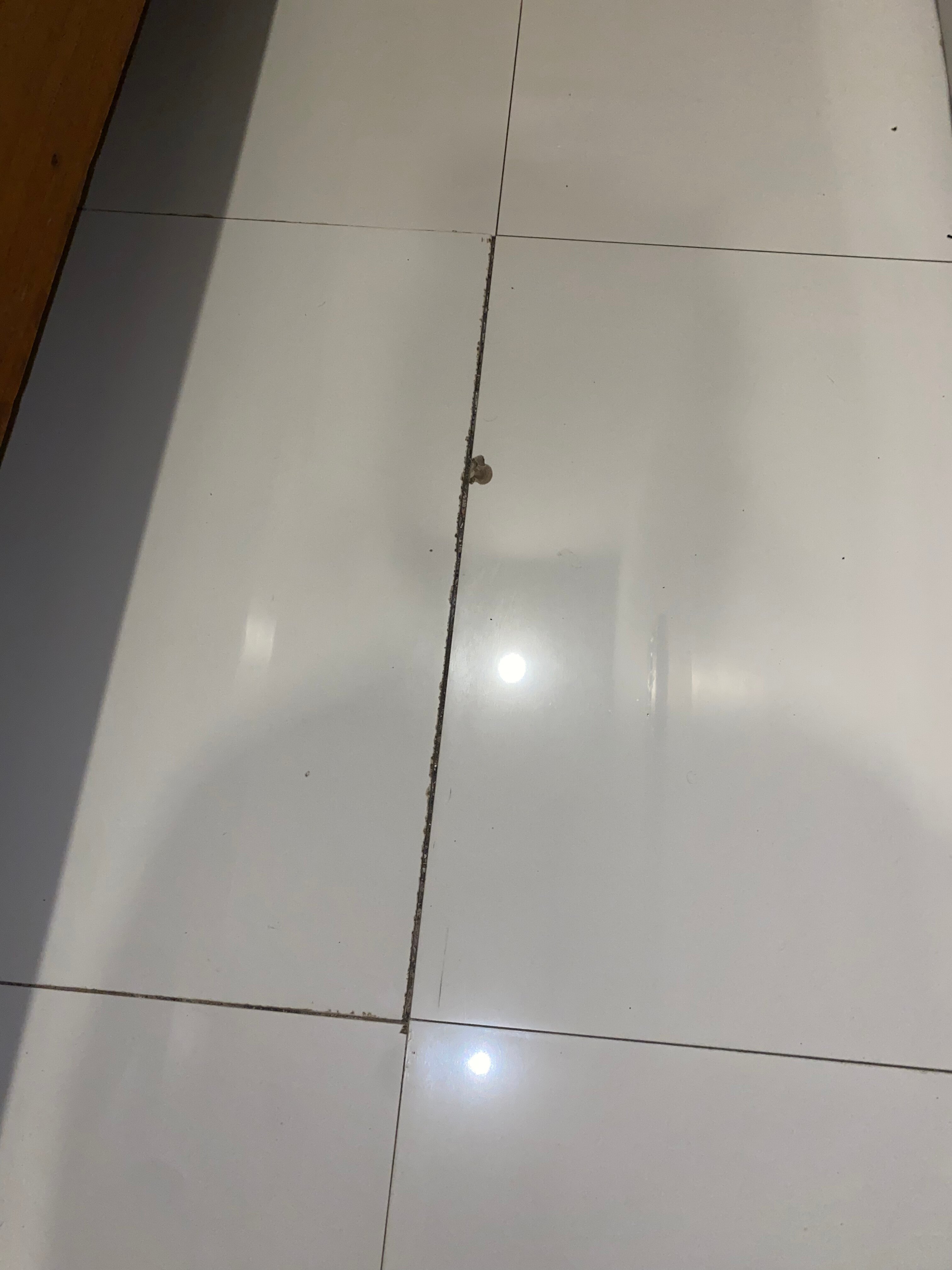 Wahyu Dana Hotel-客卧
