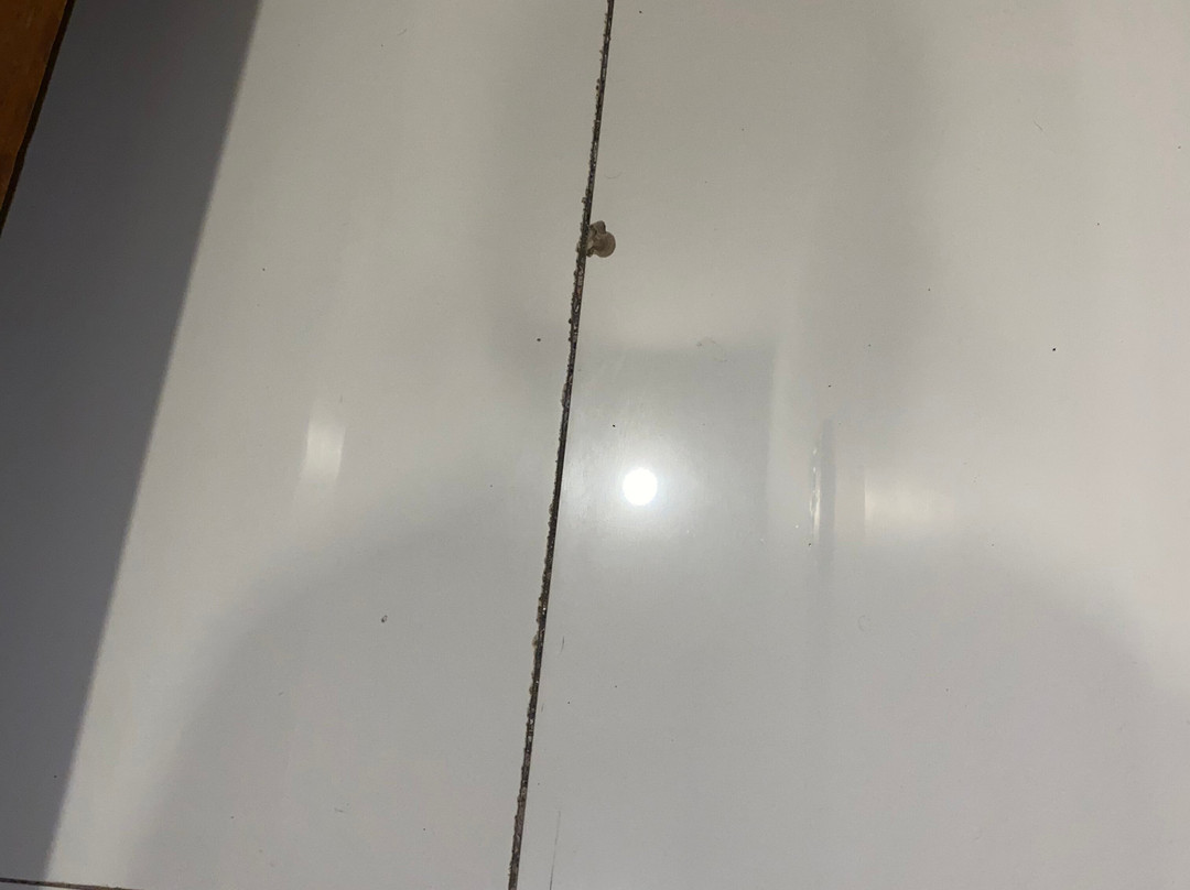 Wahyu Dana Hotel主图