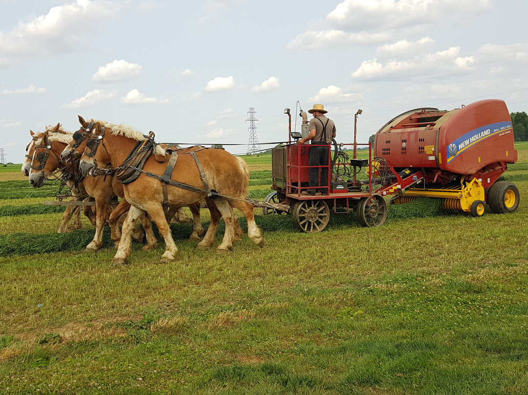 La Quinta Inn & Suites by Wyndham Lancaster主图