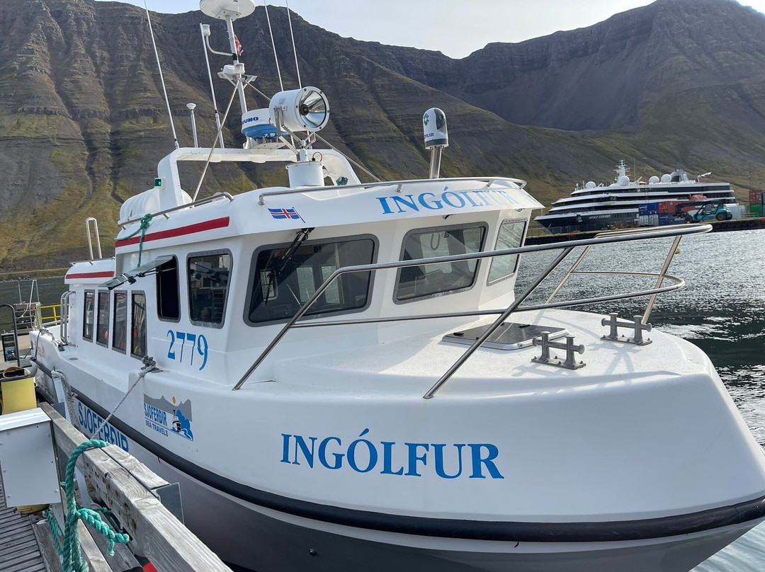 Westfjords Tourist Information-伊萨菲厄泽必去景点