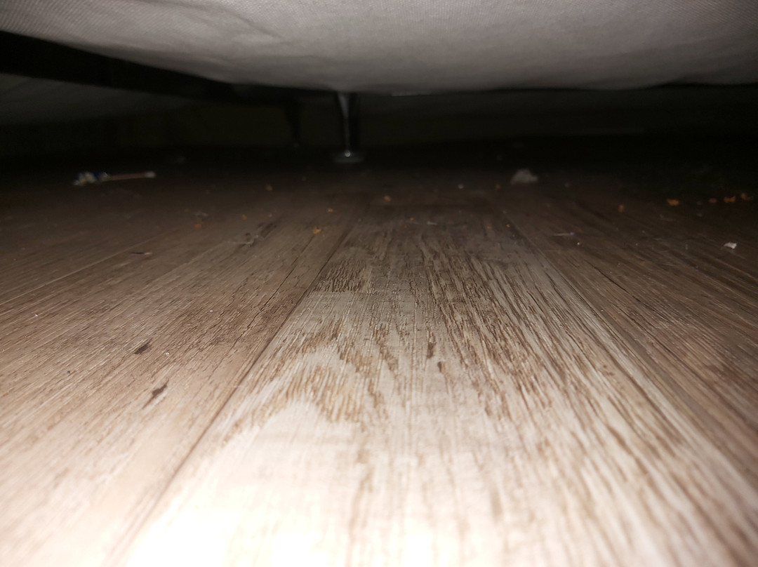 Quality Inn & Suites P.E. Trudeau Airport-Montreal主图