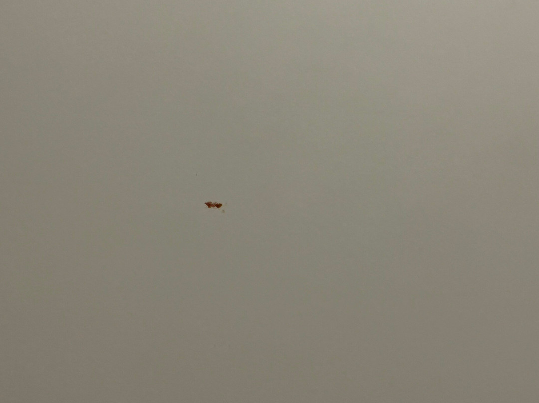 TownePlace Suites by Marriott Waco South主图