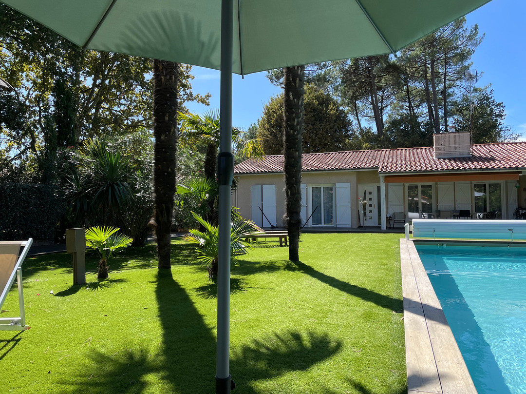 Villa Herbert主图