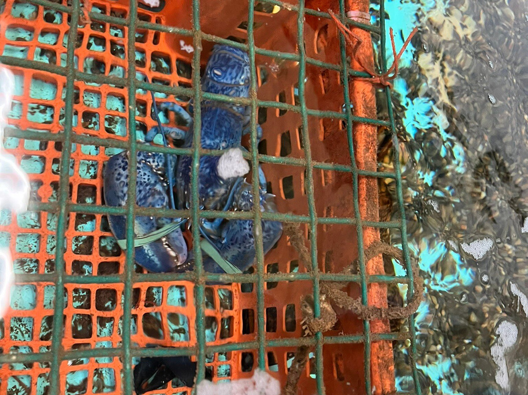 Experience PEI-夏洛特镇必去景点