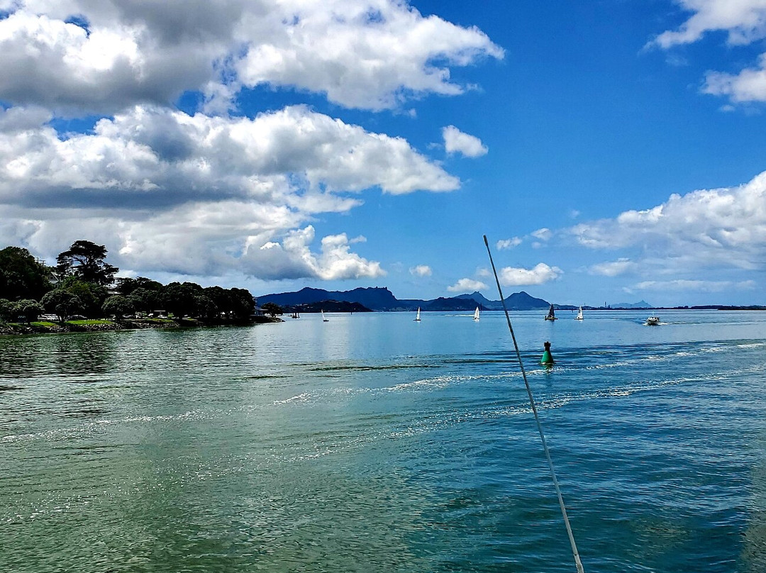 Whangarei Harbour Cruises景点图片