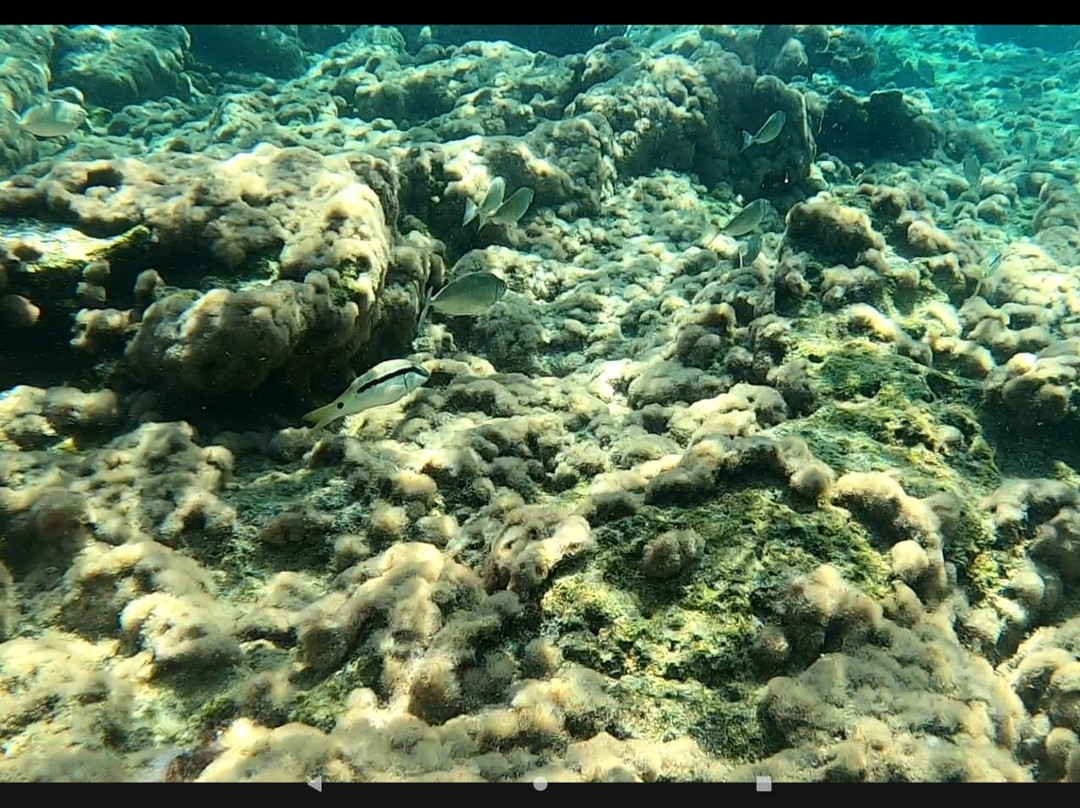 Bay of Navarone-罗德斯必去景点