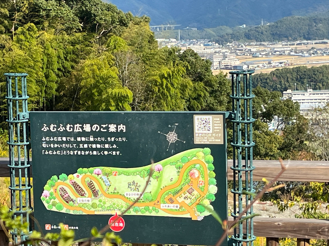 The Kochi Prefectural Makino Botanical Garden-高知市必去景点