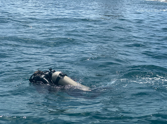 TamaDive-塔马林多必去景点