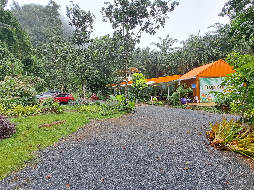 Tropical Cafe' SaiThai Krabi