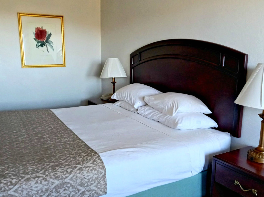 The Forest Villas Hotel主图