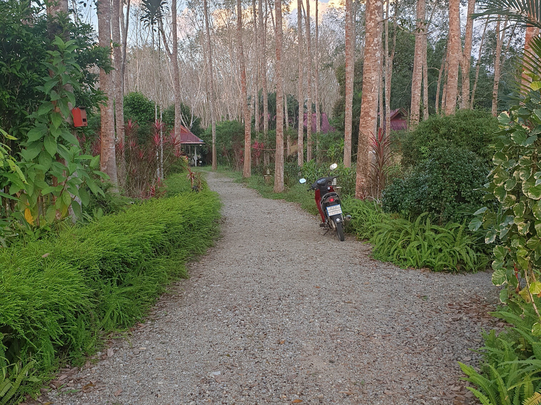 Manora Garden B &B主图