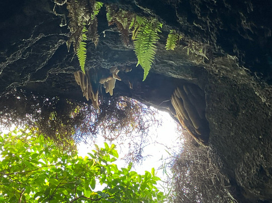 Kava Kava Tours-安加罗阿必去景点