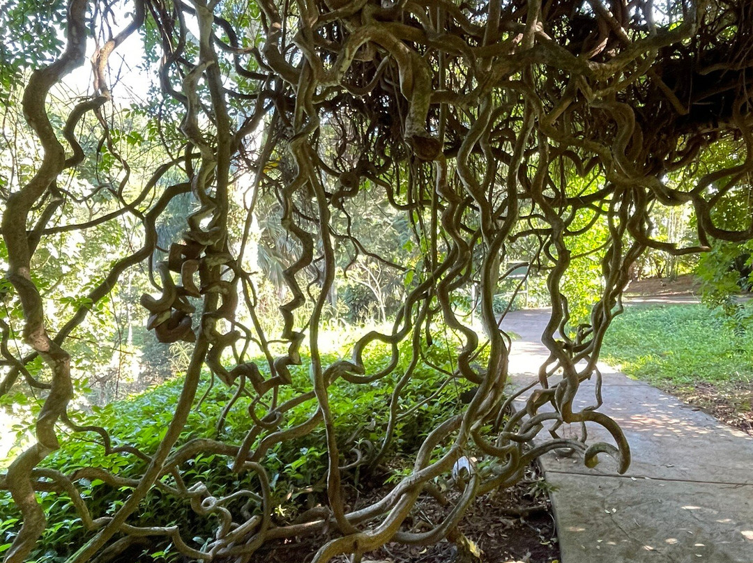 国家热带植物园-坡伊普必去景点