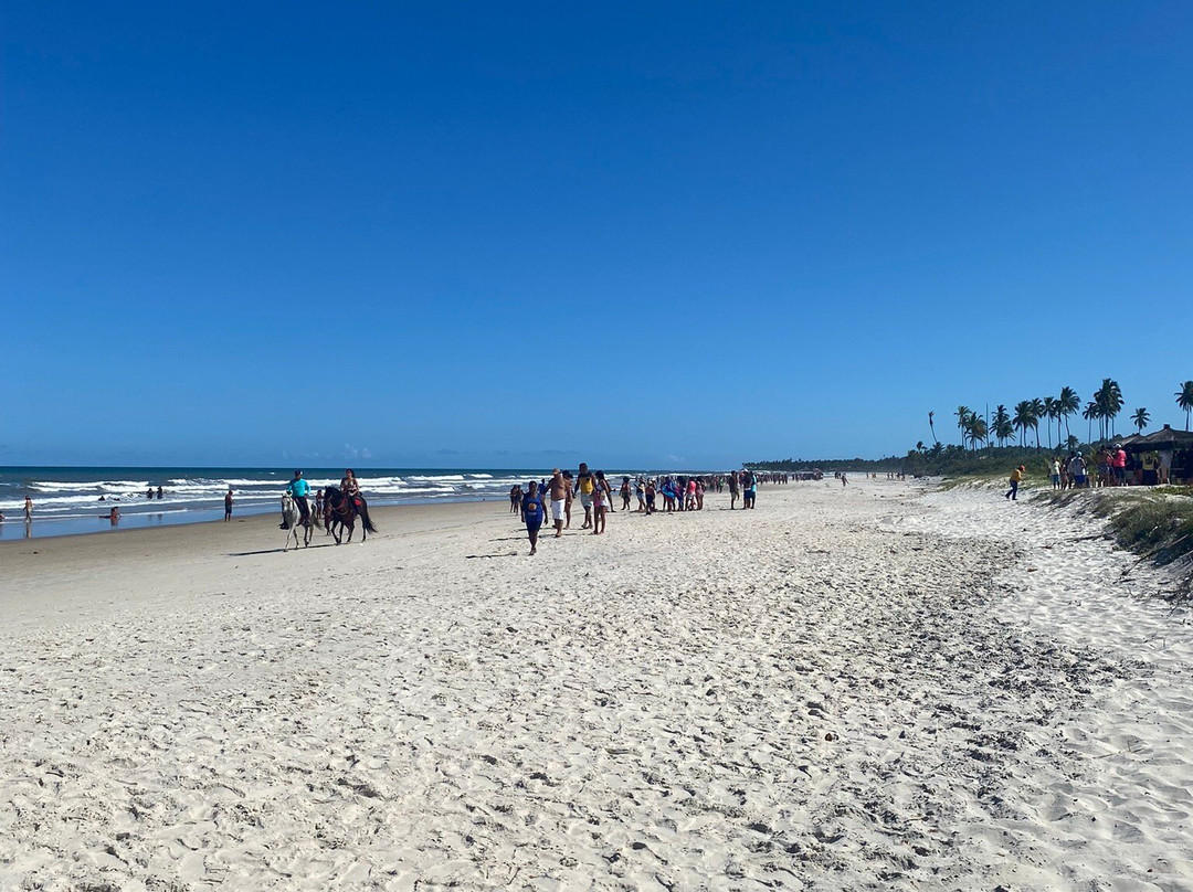 Praia De Sirihyba-Ilheus必去景点