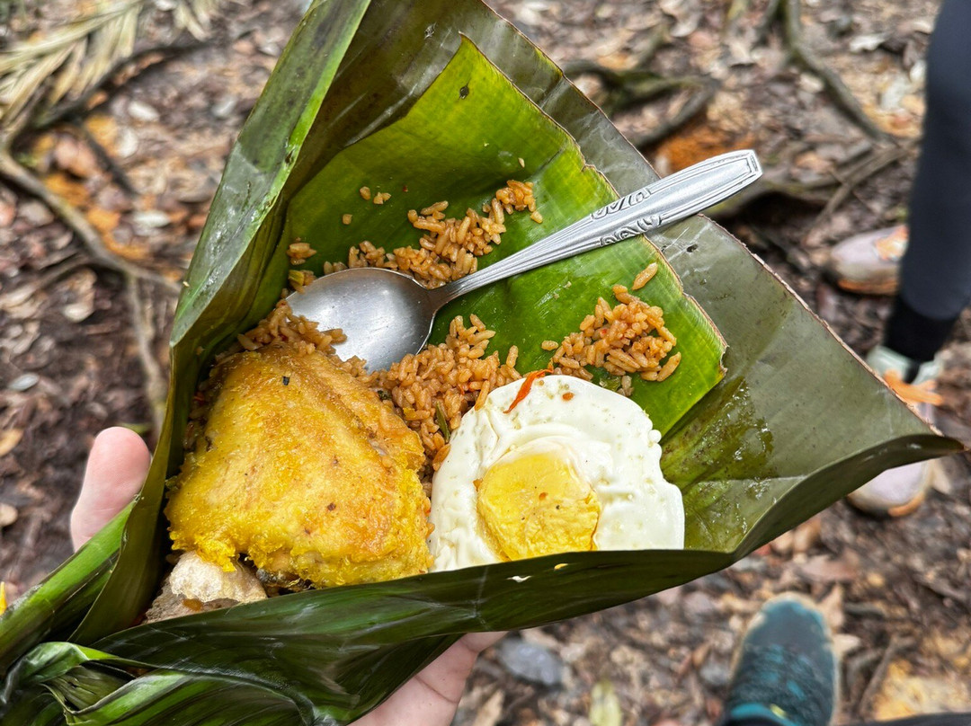 Monkey business tours-武吉拉旺必去景点