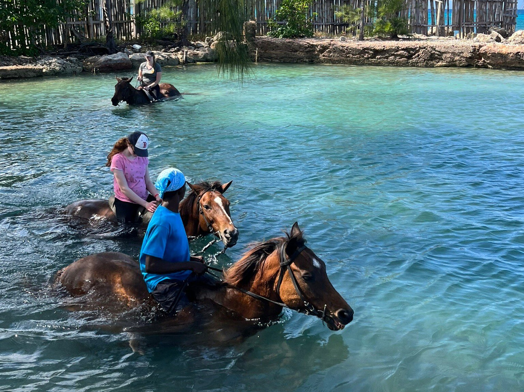 Sand n' Saddle-Rio Bueno必去景点