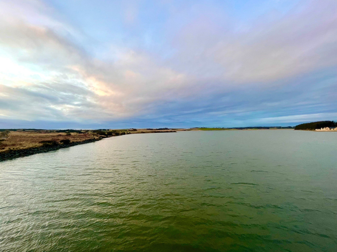 Forvie National Nature Reserve景点图片