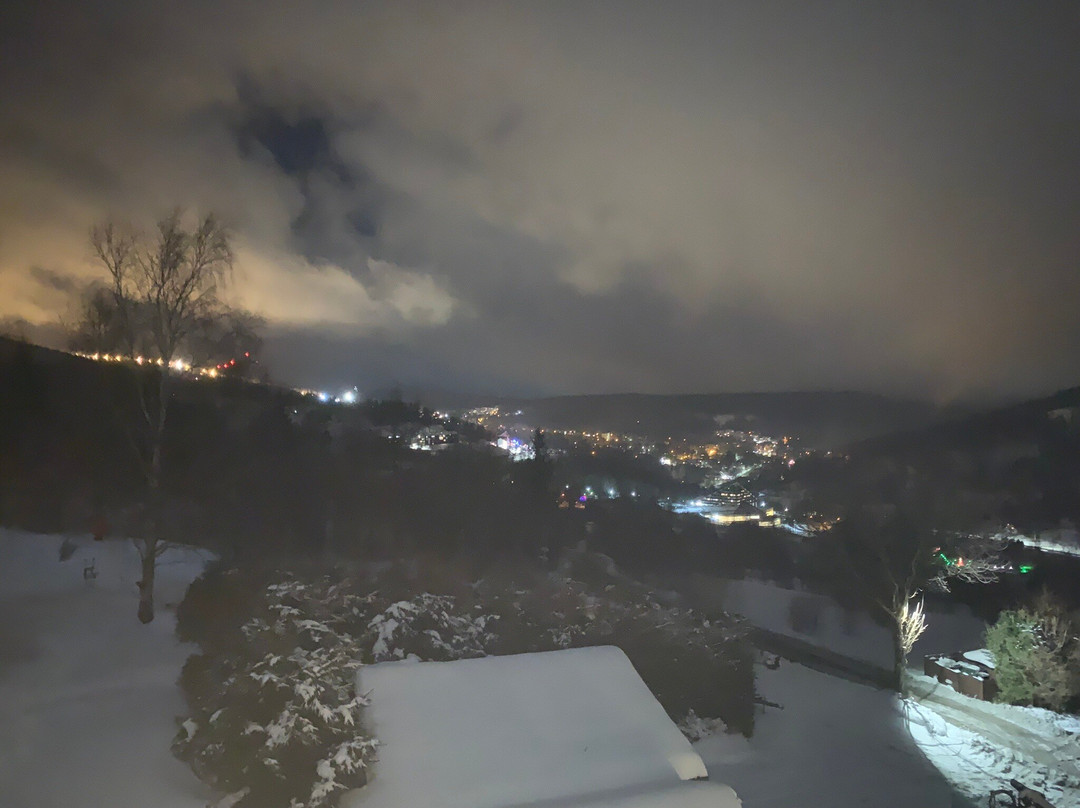 Aleksander-Panorama主图