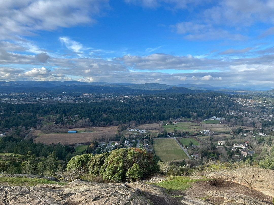Mount Douglas Park景点图片