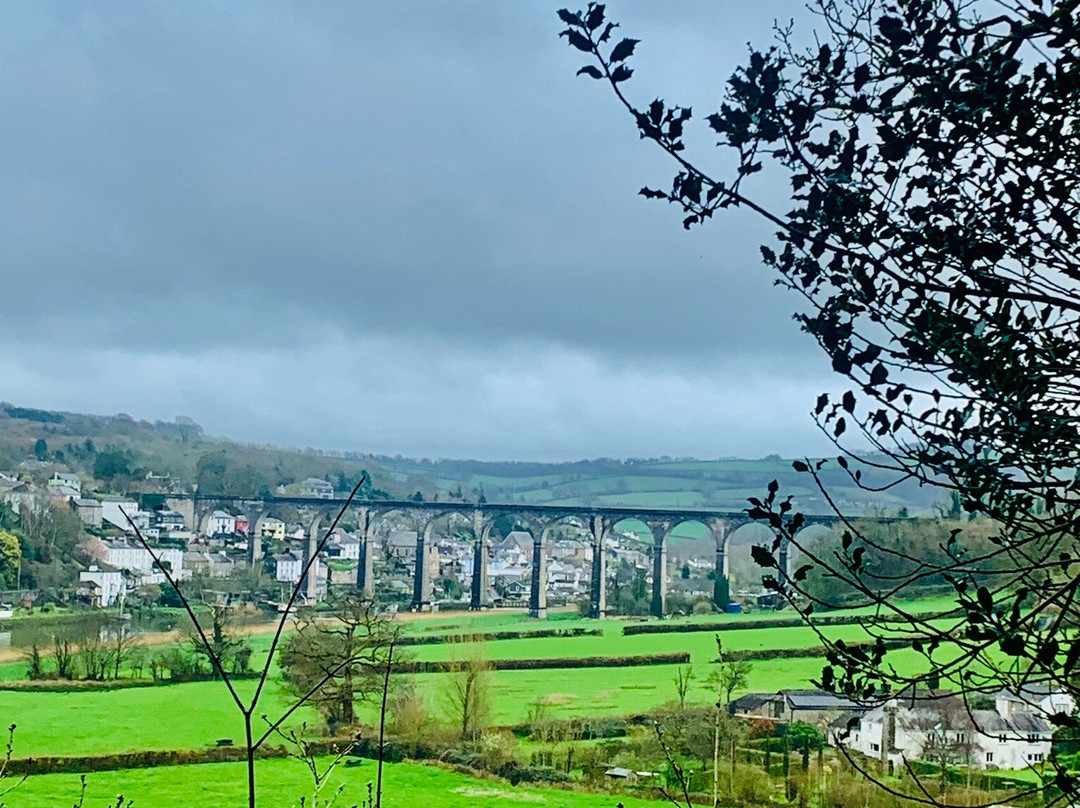 Cotehele and Metherell circular walk景点图片
