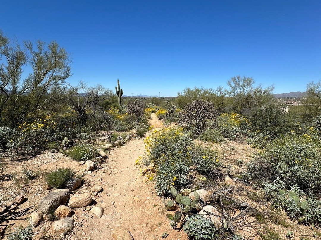 Linda Vista Trail-Oro Valley必去景点