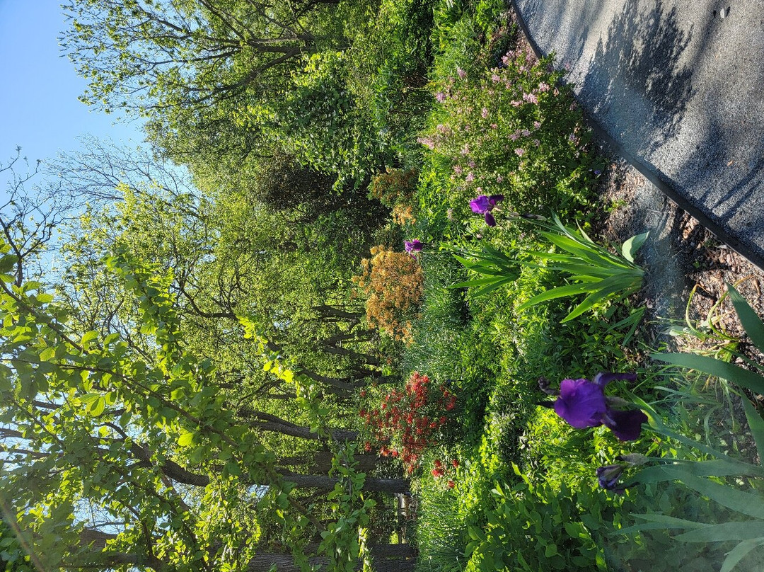 Delaware Botanic Gardens景点图片