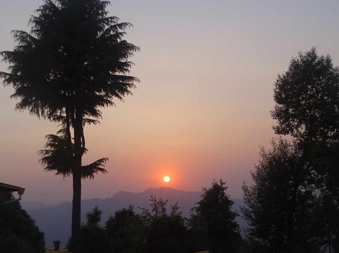 Te Aroha By Shervani主图