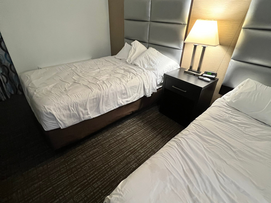 Best Western Webster Hotel, NASA主图