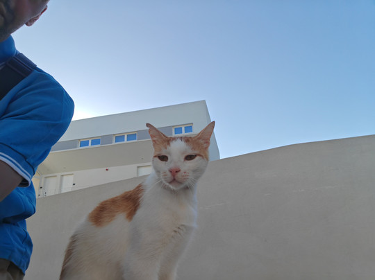 Sensus Experience By Lavris主图