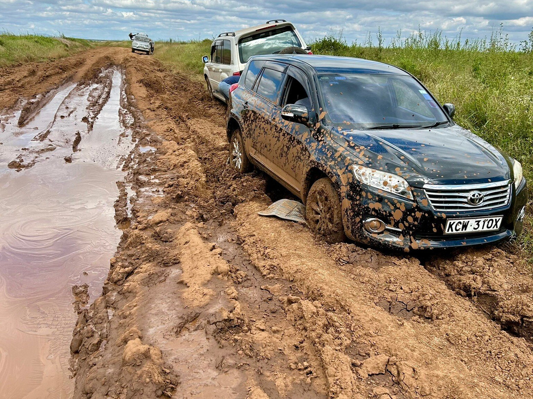 Live in Love Kenya tours and travel-Langata必去景点