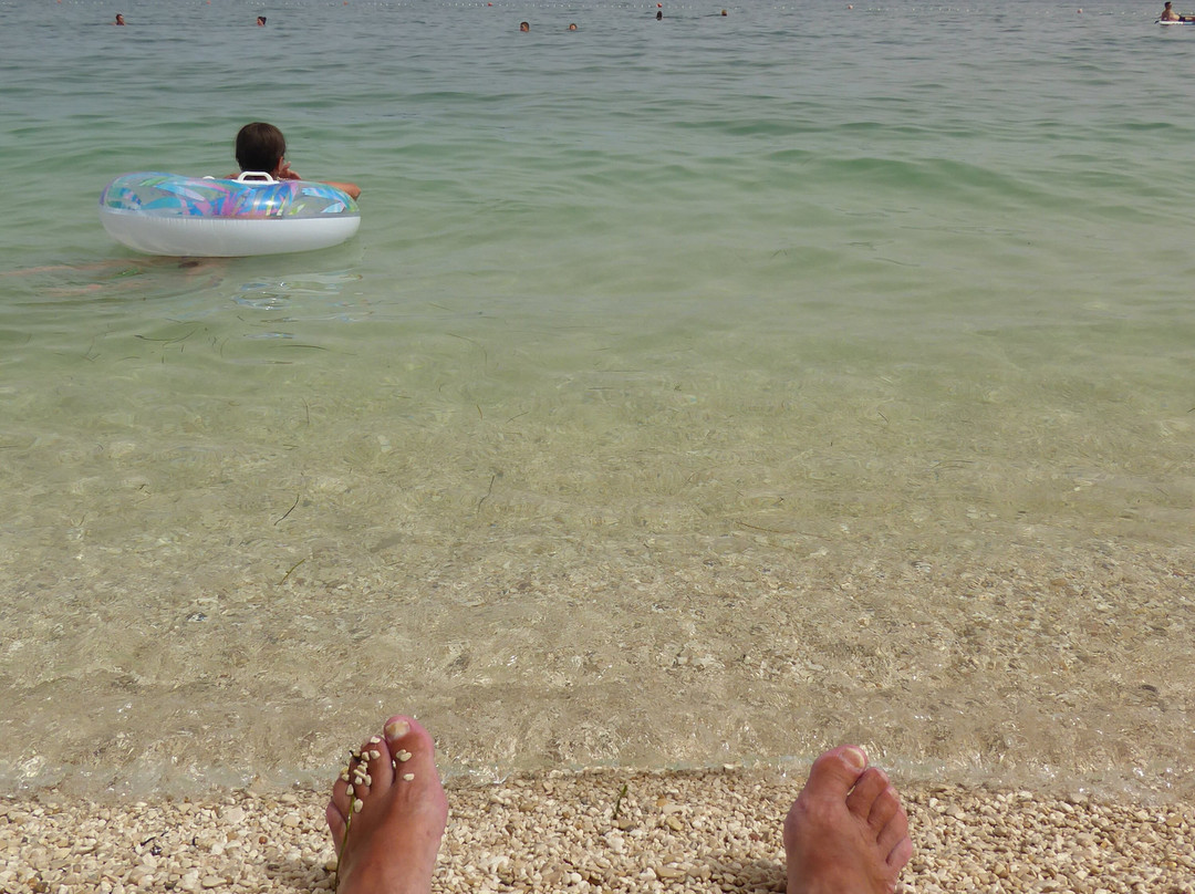 Beach Dardin景点图片