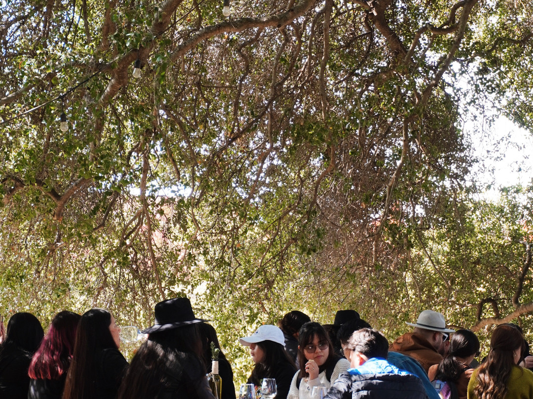 Bodegas Magoni-恩塞纳达必去景点