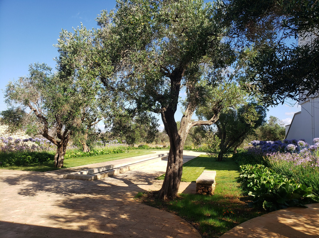 Secolario Masseria del Viverbene
